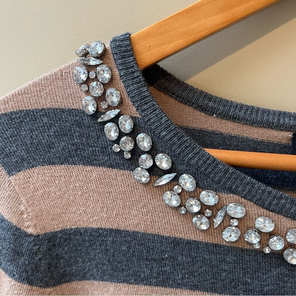 The Limited Gray and Tan Striped Sweater with Embellished Neckline - Picture 2 of 10